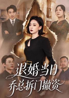 退婚当日乔总拆门撤资封面
