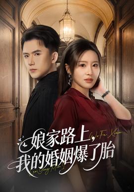 娘家路上，我的婚姻爆了胎封面
