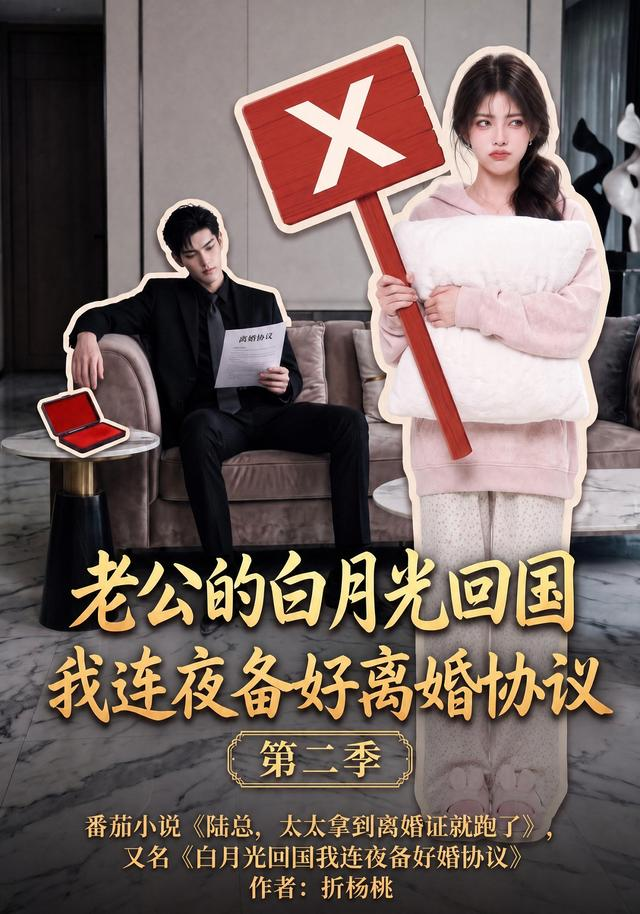 老公的白月光回国我连夜备好离婚协议第二季封面